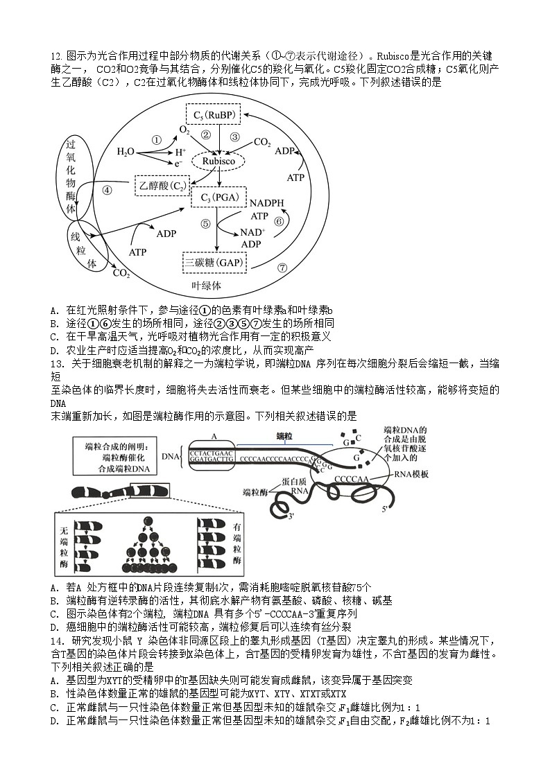 重庆市沙坪坝区重庆市第一中学校2024~2025学年高二上学期12月期中生物试题第3页