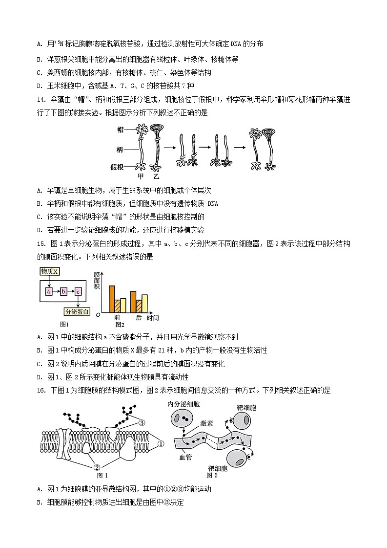 重庆一中高2027届高一上期中生物试卷第3页