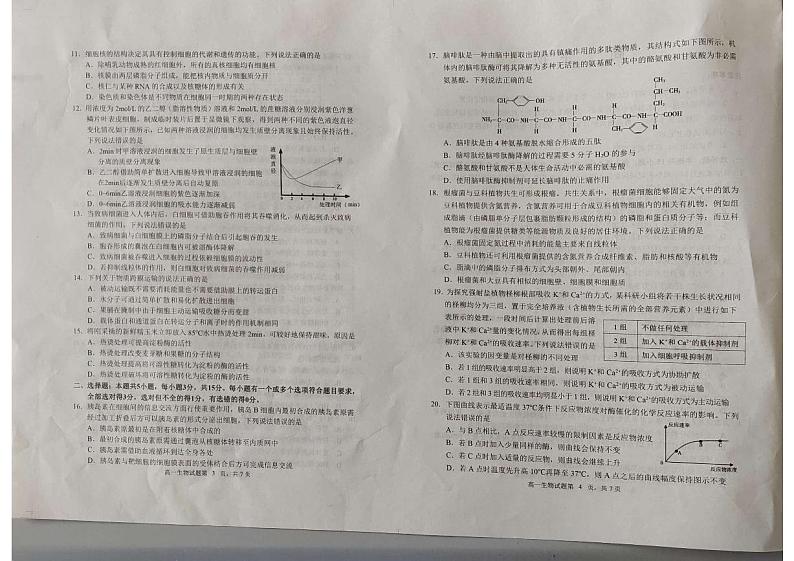 山东省威海银滩高级中学2024-2025学年高一上学期期中考试生物试题第2页