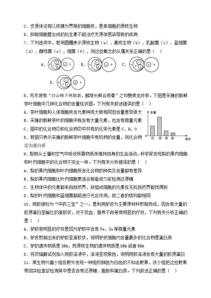 山西省太原市常青藤中学校、李林中学2024-2025学年高一上学期10月联考生物试题第3页