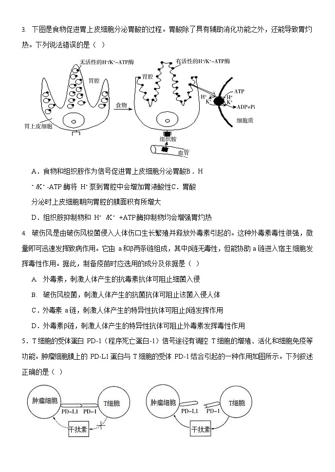 内蒙古赤峰二中2024-2025学年高二上学期第二次月考生物试题第2页