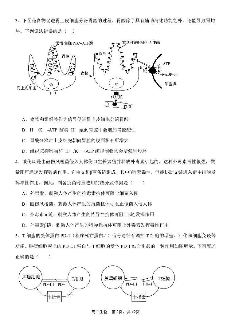 内蒙古赤峰二中2024-2025学年高二上学期第二次月考生物试题第2页