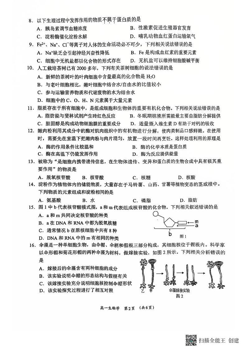 柳州市高中2024级12月联考试题 高一生物学第2页