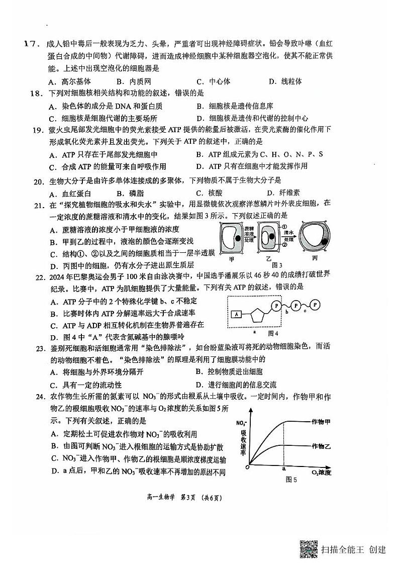 柳州市高中2024级12月联考试题 高一生物学第3页