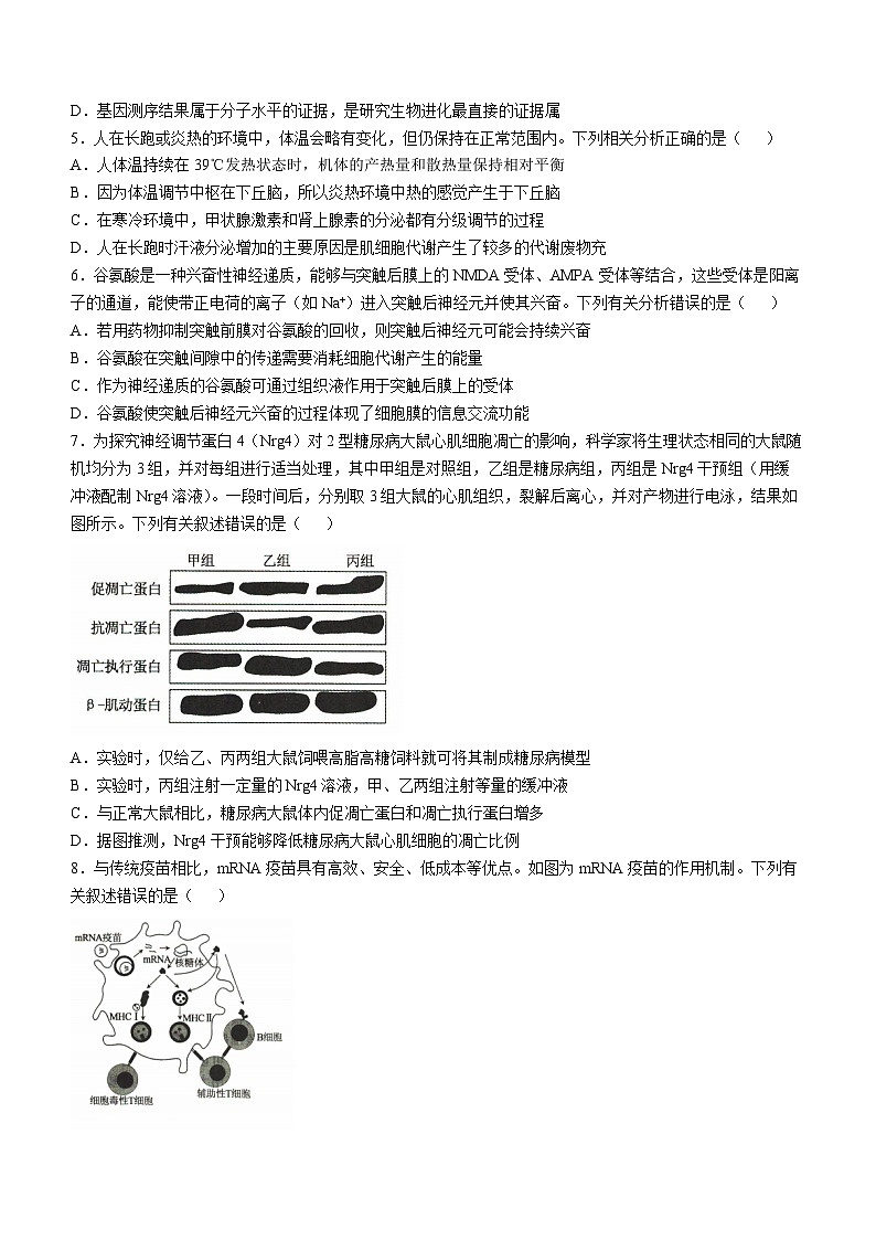 2025河北省十县联考高三上学期11月期中考试生物含解析第2页
