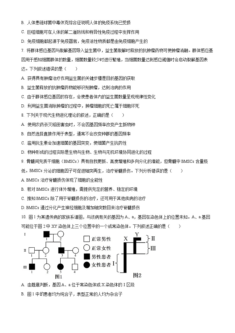 2025沧州运东五校高三上学期11月期中考试生物含答案第3页
