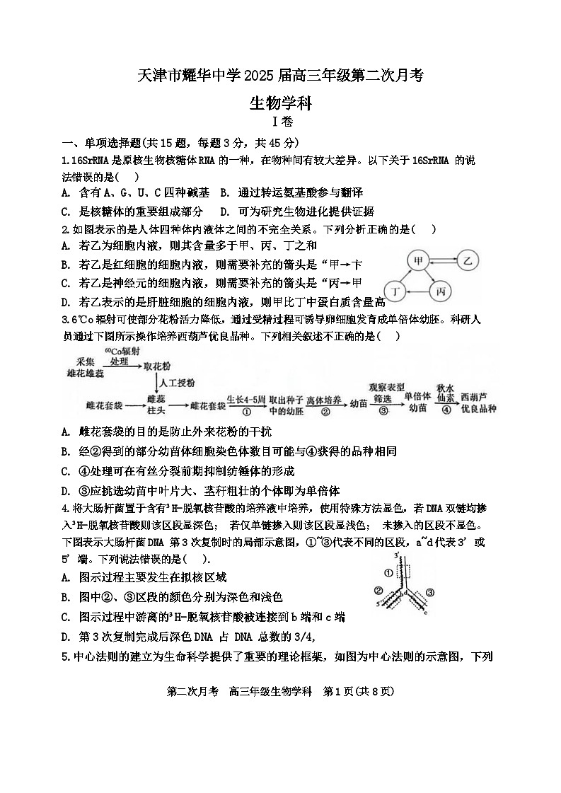 2025天津市耀华中学高三上学期第二次月考试题生物含答案第1页
