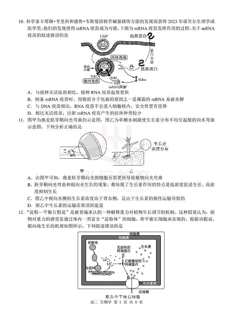 高二生物试卷第3页
