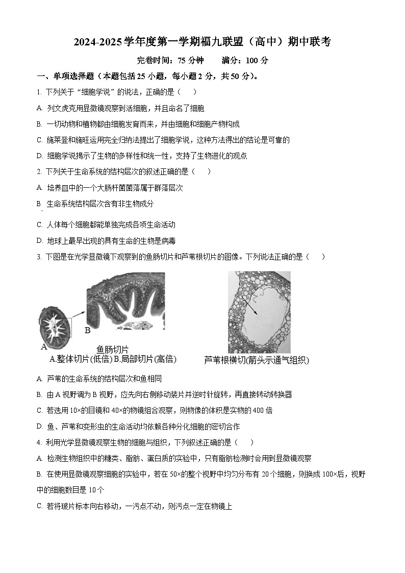 福建省福州市福9联盟校2024-2025学年高一上学期11月期中生物试题无答案第1页