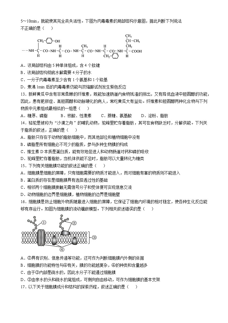 广东省深圳市坪山区深圳市聚龙科学中学教育集团第二次段考2024-2025学年高一上学期12月月考生物试题第3页