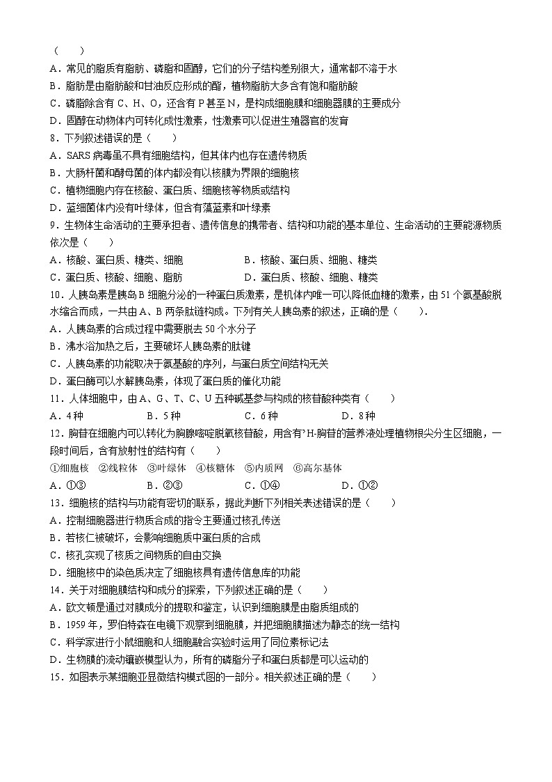 甘肃省张掖市某校2024-2025学年高一上学期12月月考检测生物试卷第2页