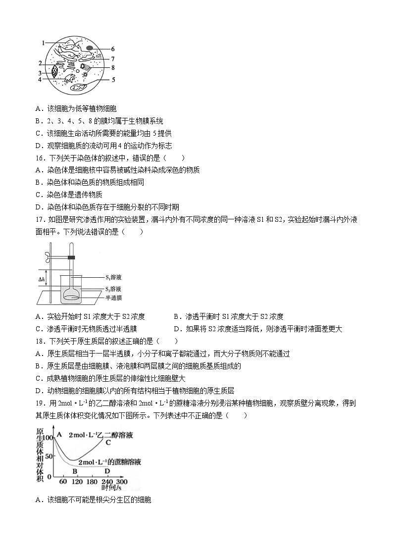 甘肃省张掖市某校2024-2025学年高一上学期12月月考检测生物试卷第3页