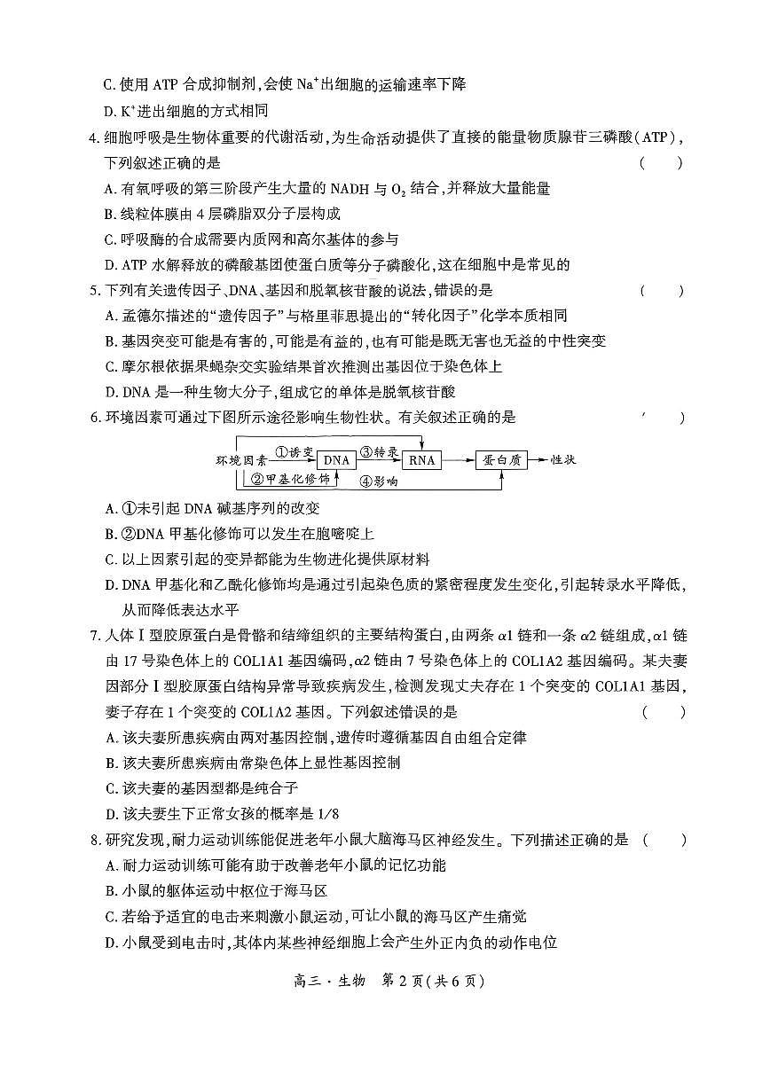 贵州省黔南布依族苗族2025届高三高考第一次模拟考-生物试卷+答案第2页