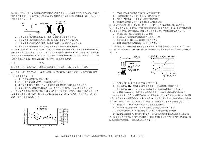 吉林省“BEST”合作体六校2025届高三上学期12月考-生物试卷+答案第3页