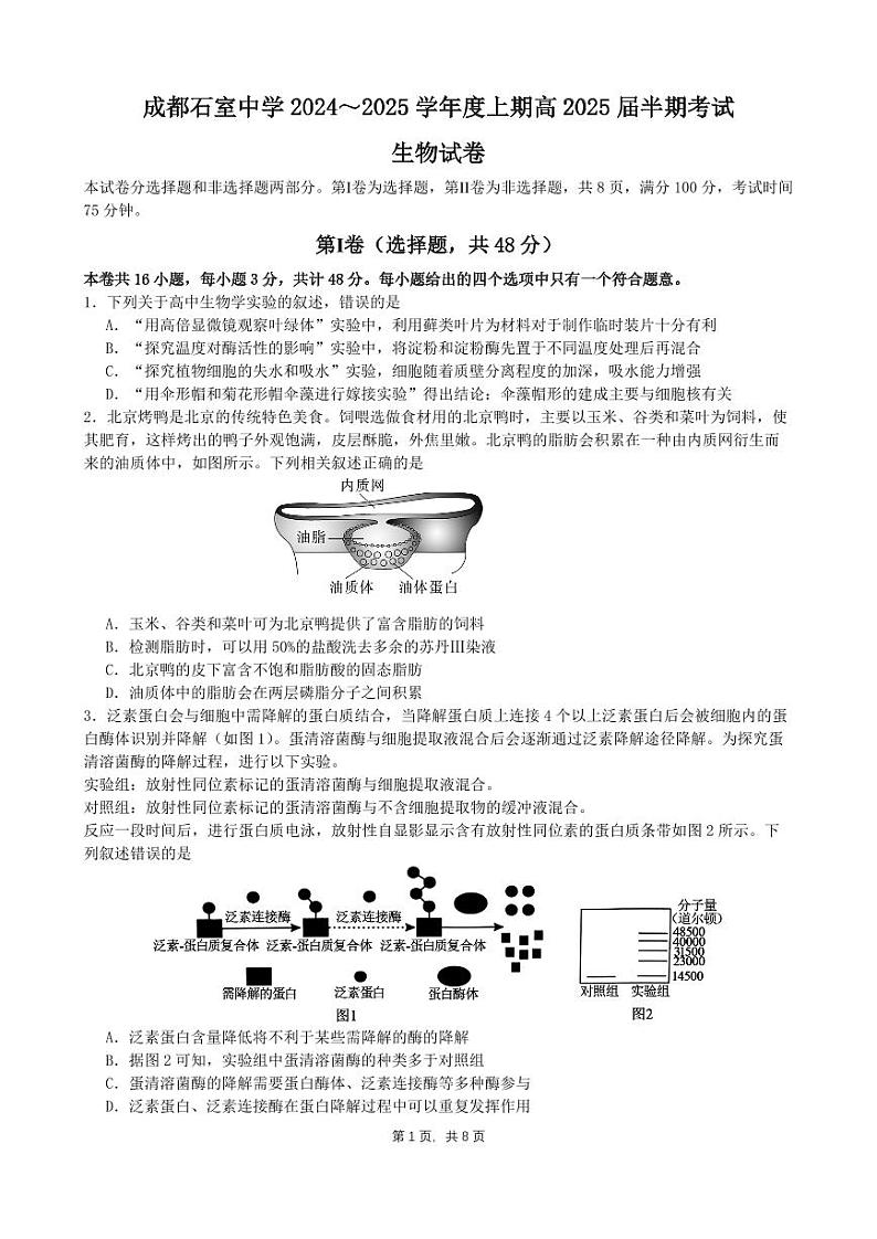 四川省成都市石室中学2025届高三上学期11月期中考-生物试卷+答案第1页