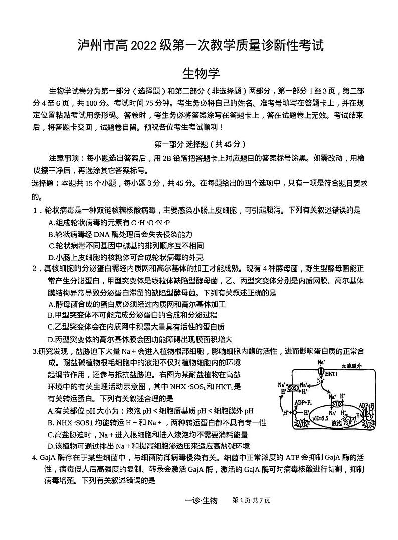 四川省泸州市2025届高三上学期高考第一次模拟考-生物试卷+答案第1页