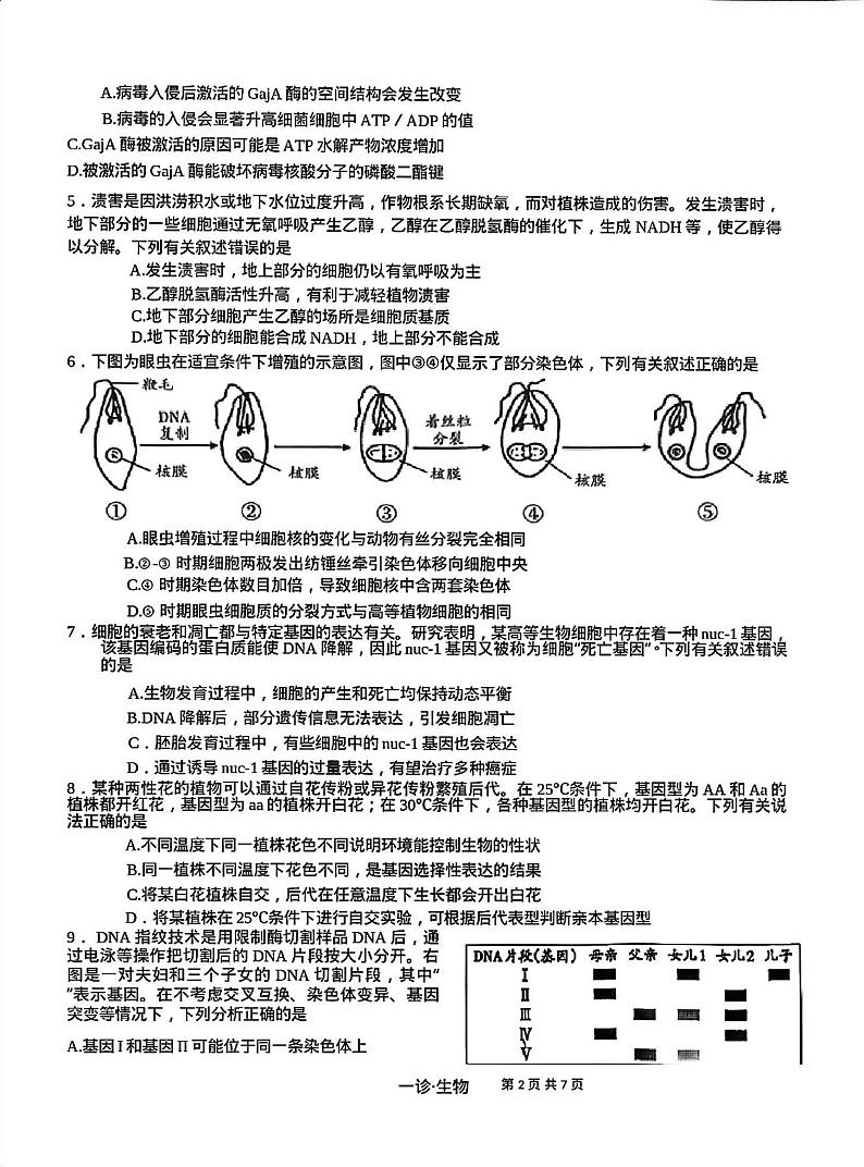 四川省泸州市2025届高三上学期高考第一次模拟考-生物试卷+答案第2页