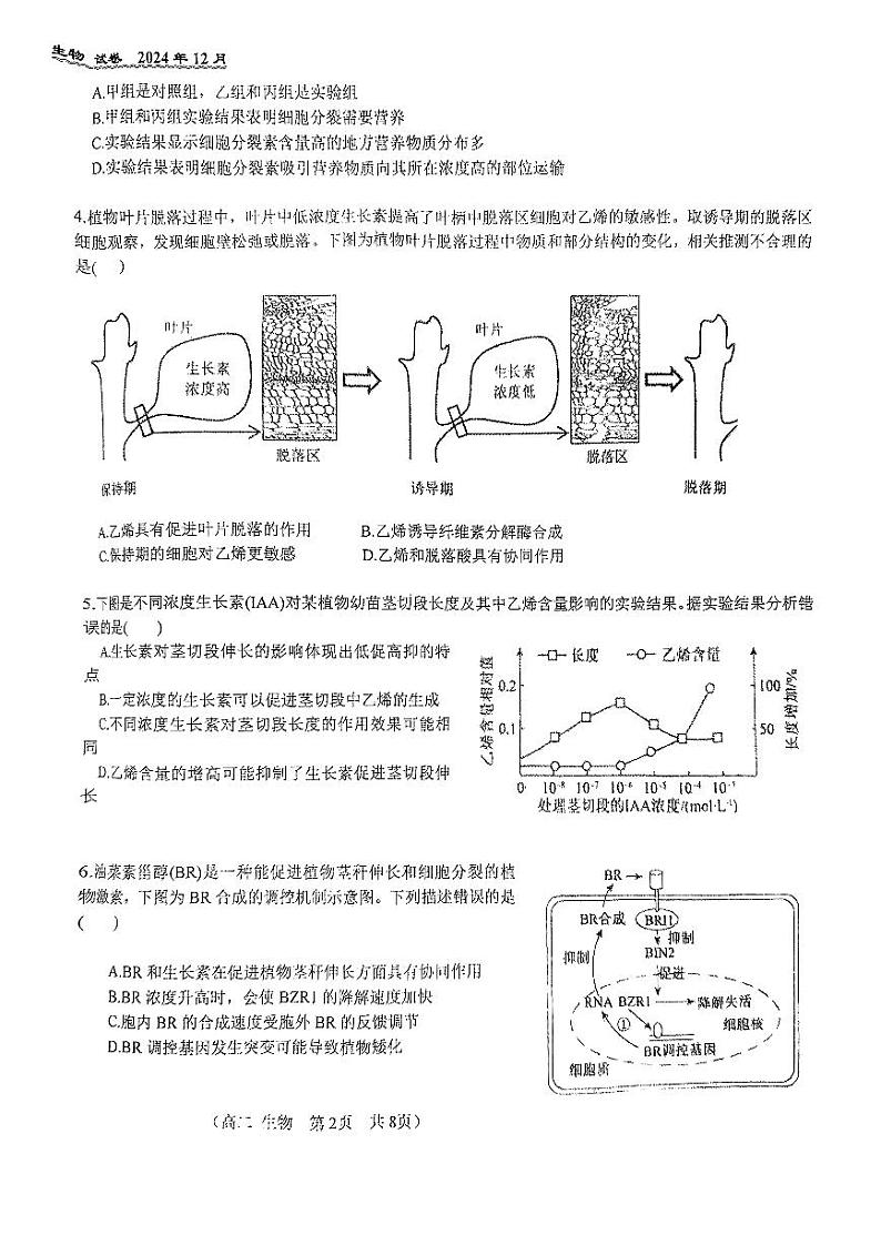 2024北京八十中高二（上）12月月考生物试卷第2页