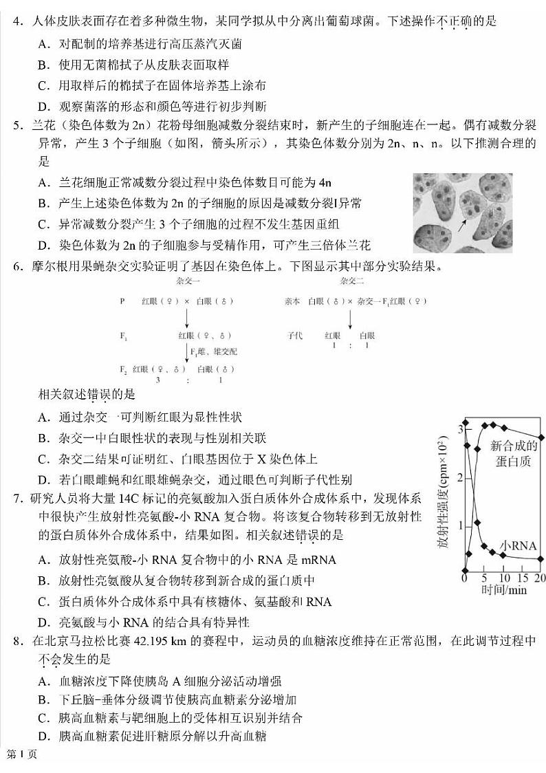 2024北京十一学校高三（上）12月月考生物试卷第2页