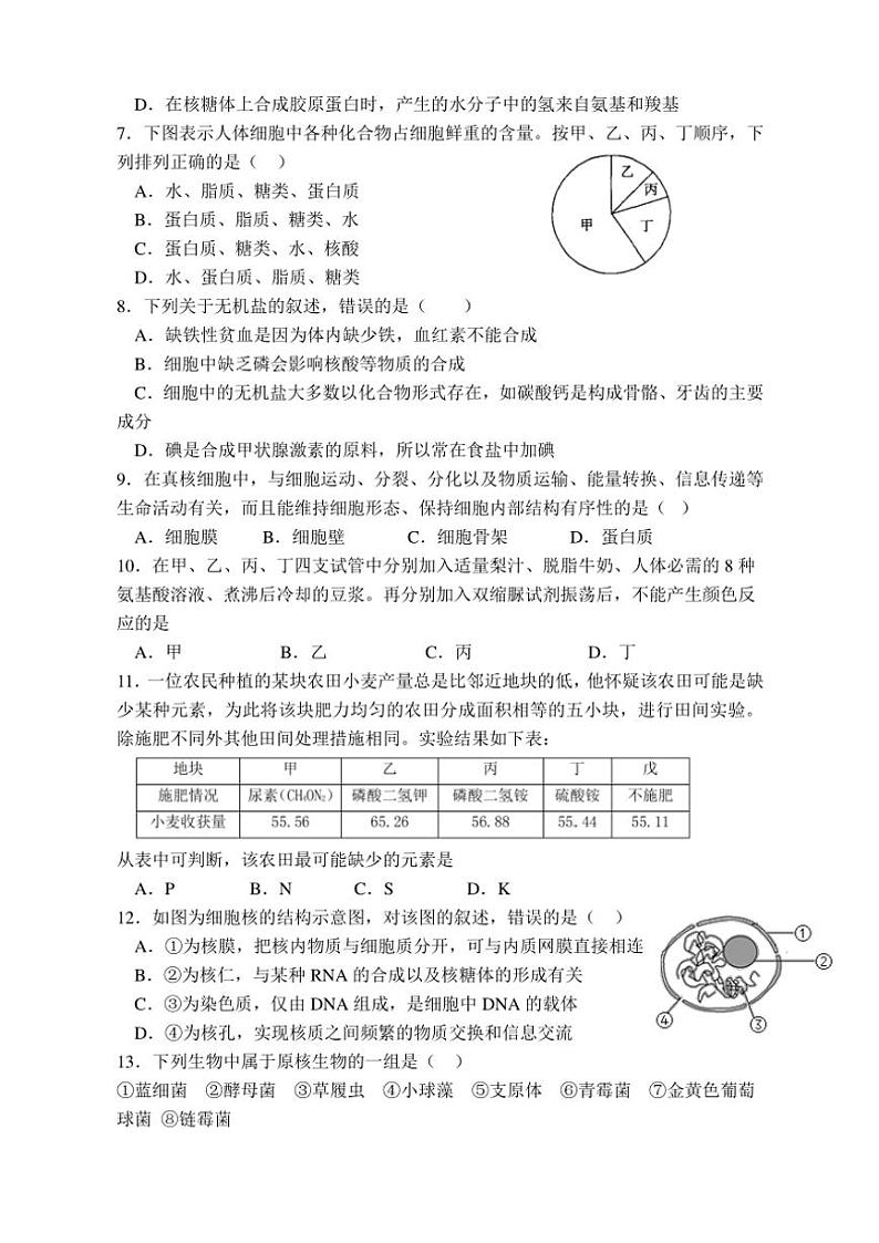 2024～2025学年四川省眉山市仁寿第一中学校(北校区)高一(上)期中生物试卷(含答案)第2页