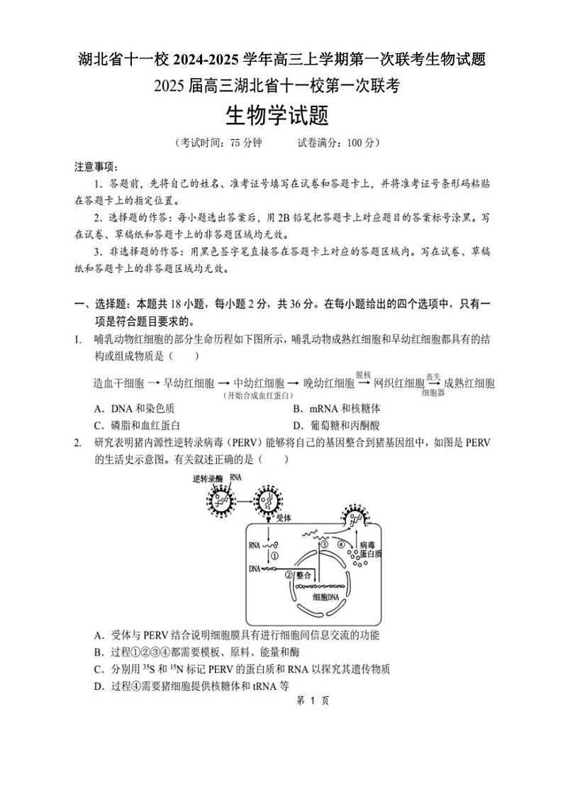 2024～2025学年湖北省十一校高三(上)第一次联考月考生物试卷(含答案)第1页