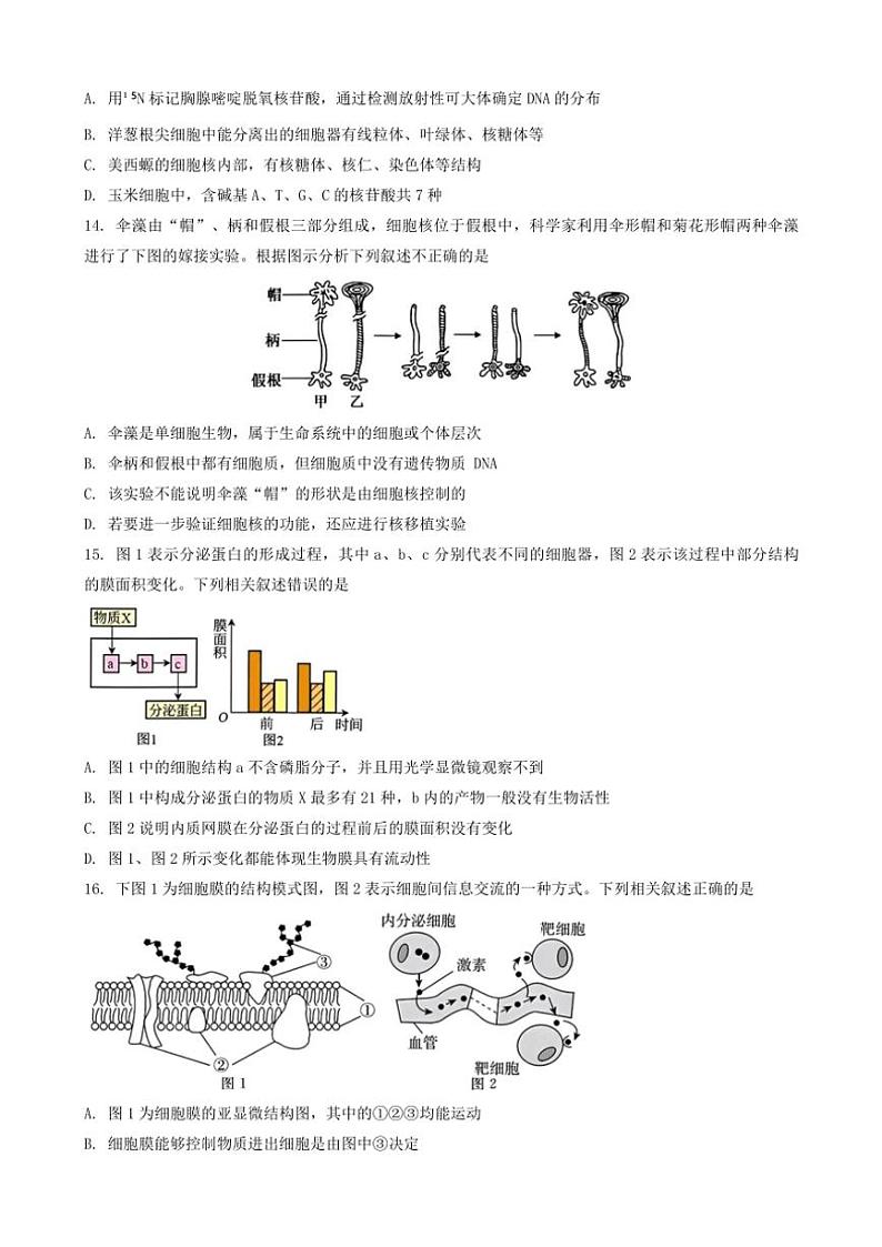 2024～2025学年重庆市第一中学校高一(上)12月期中生物试卷(含答案)第3页