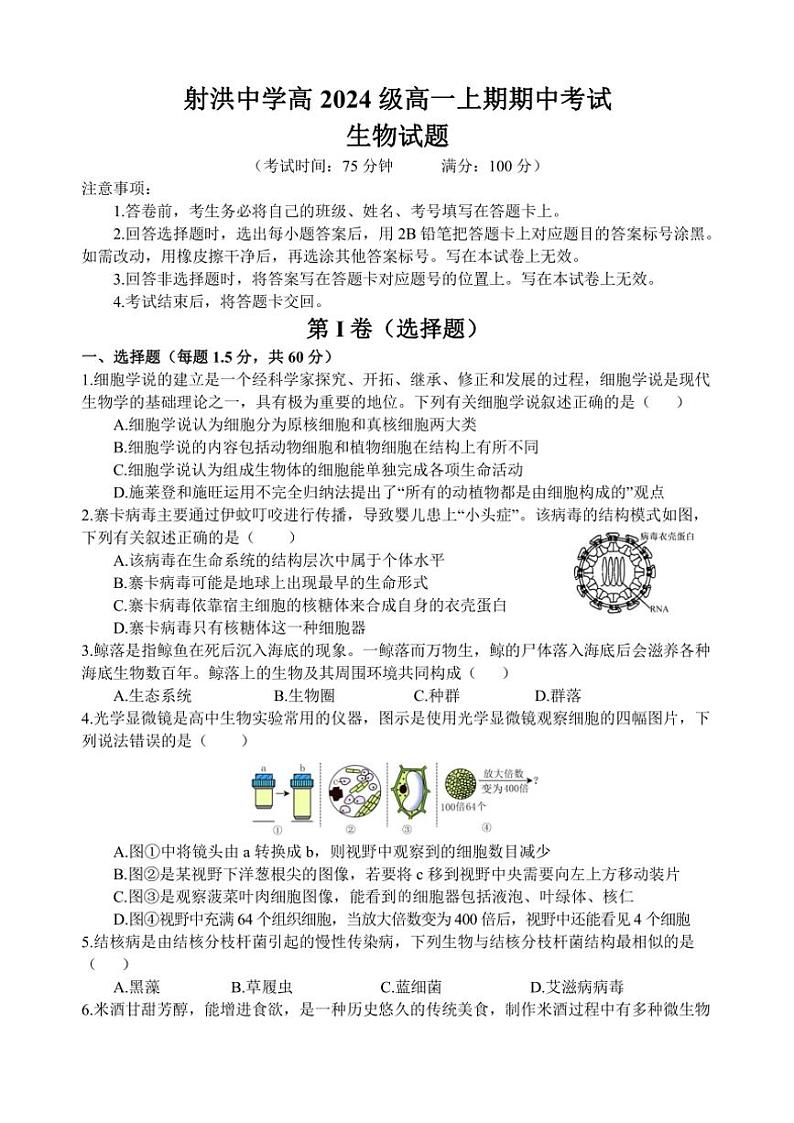 2024～2025学年四川省遂宁市射洪市四川省射洪中学校高一(上)12月期中生物试卷(含答案)第1页