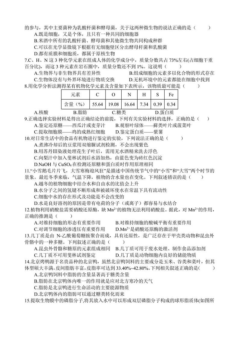 2024～2025学年四川省遂宁市射洪市四川省射洪中学校高一(上)12月期中生物试卷(含答案)第2页