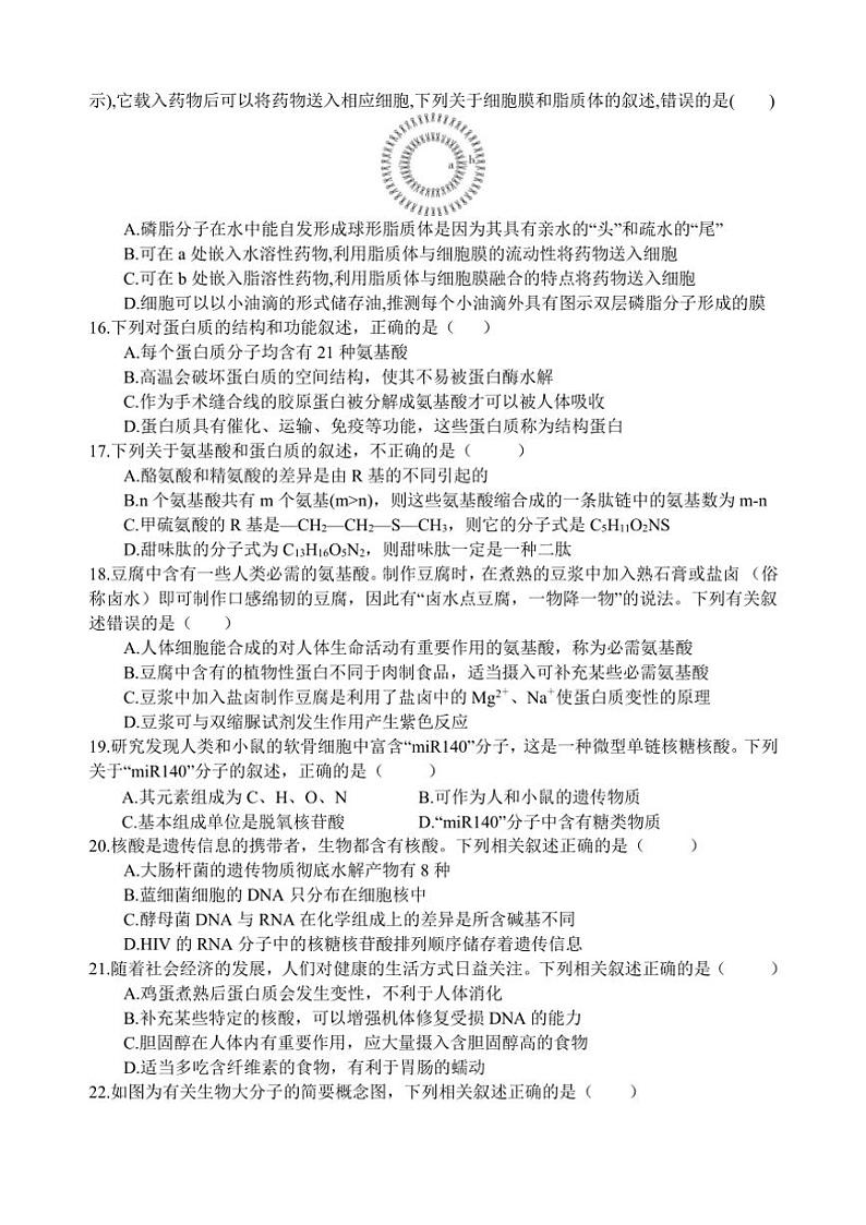 2024～2025学年四川省遂宁市射洪市四川省射洪中学校高一(上)12月期中生物试卷(含答案)第3页