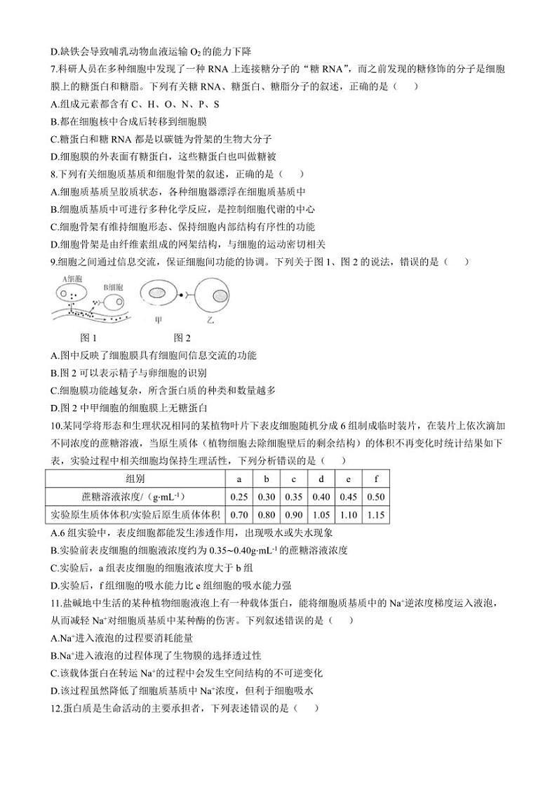 2024～2025学年河南省周口市鹿邑县高一(上)期中生物试卷(含答案)第2页