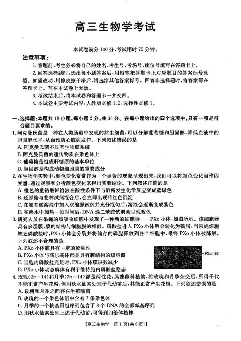 2024～2025学年湖北省部分学校高三(上)12月联考生物试卷(含答案)第1页