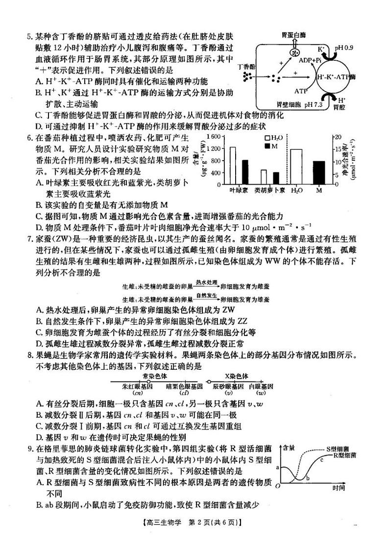 2024～2025学年湖北省部分学校高三(上)12月联考生物试卷(含答案)第2页