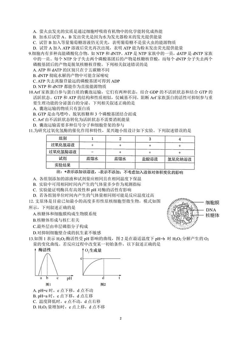2023～2024学年浙江省宁波市宁波中学高一(上)生物竞赛试卷(含答案)第2页