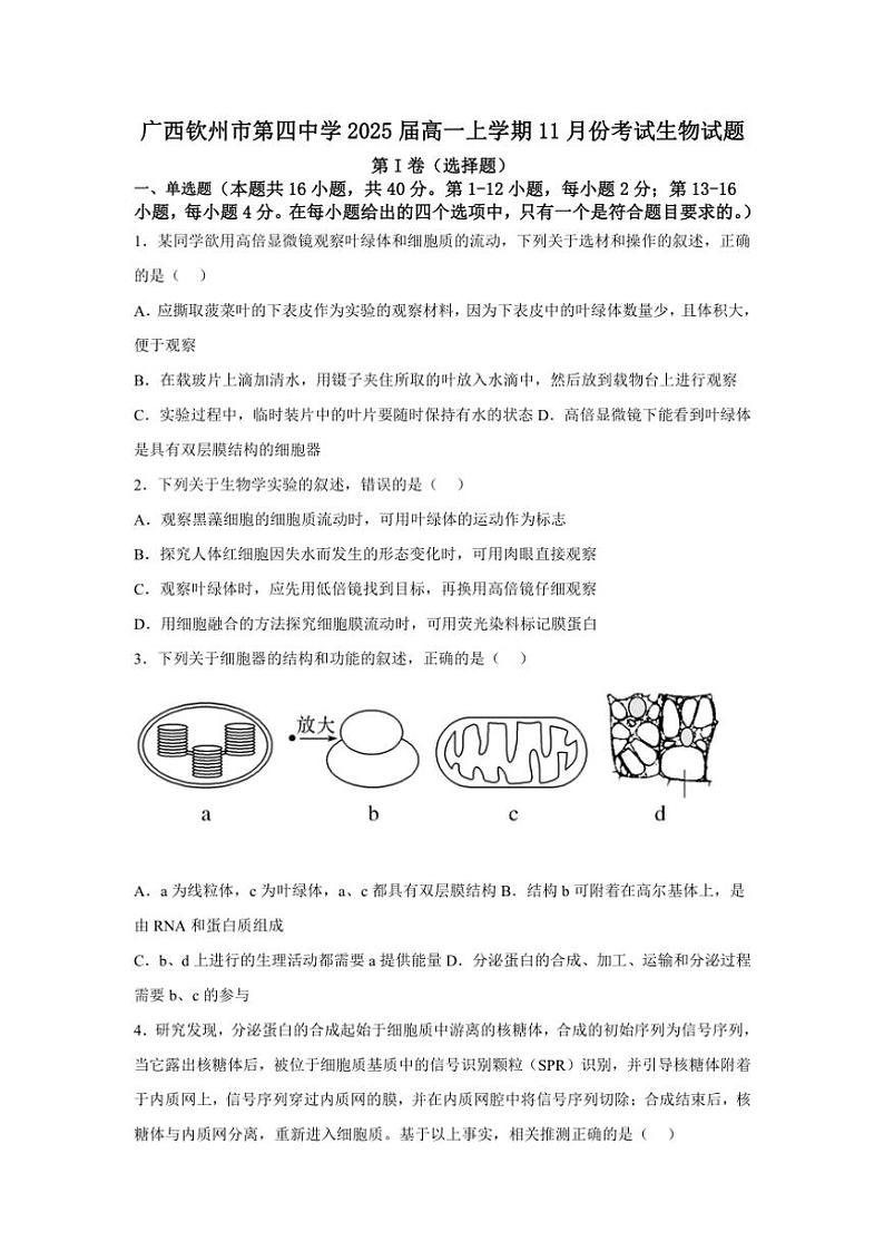 2024～2025学年广西钦州市第四中学高一(上)11月份考试生物试卷(含答案)第1页