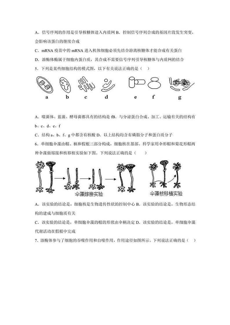 2024～2025学年广西钦州市第四中学高一(上)11月份考试生物试卷(含答案)第2页