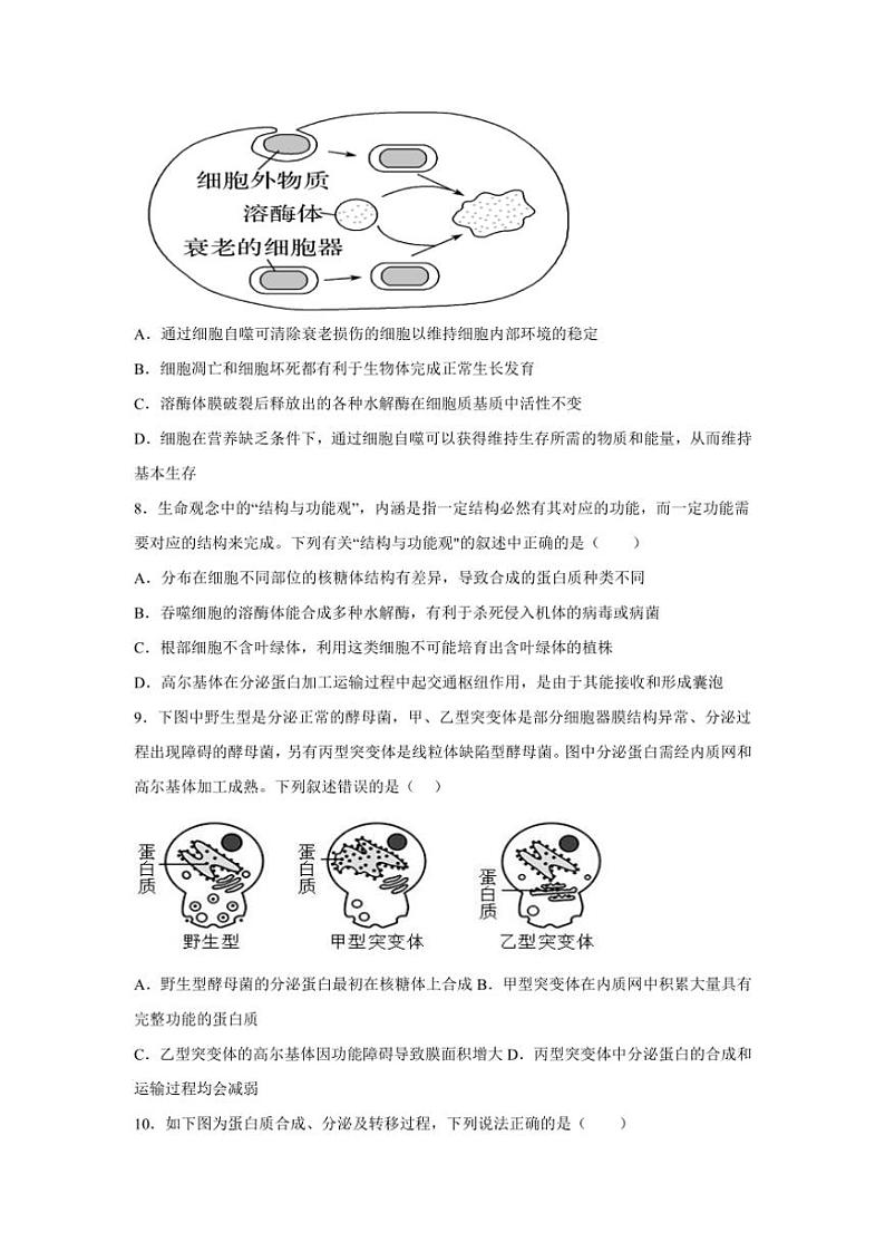 2024～2025学年广西钦州市第四中学高一(上)11月份考试生物试卷(含答案)第3页