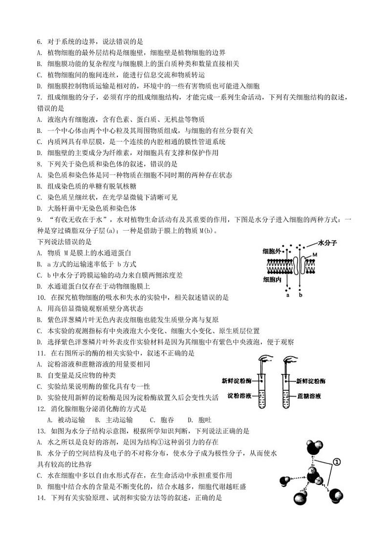 2024～2025学年广西壮族自治区河池市十校协作体高一(上)12月月考生物试卷(含答案)第2页