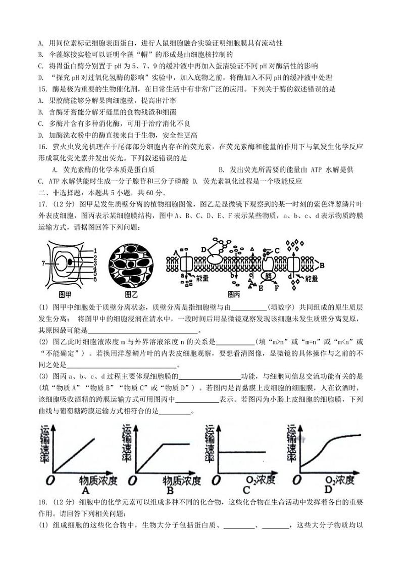 2024～2025学年广西壮族自治区河池市十校协作体高一(上)12月月考生物试卷(含答案)第3页