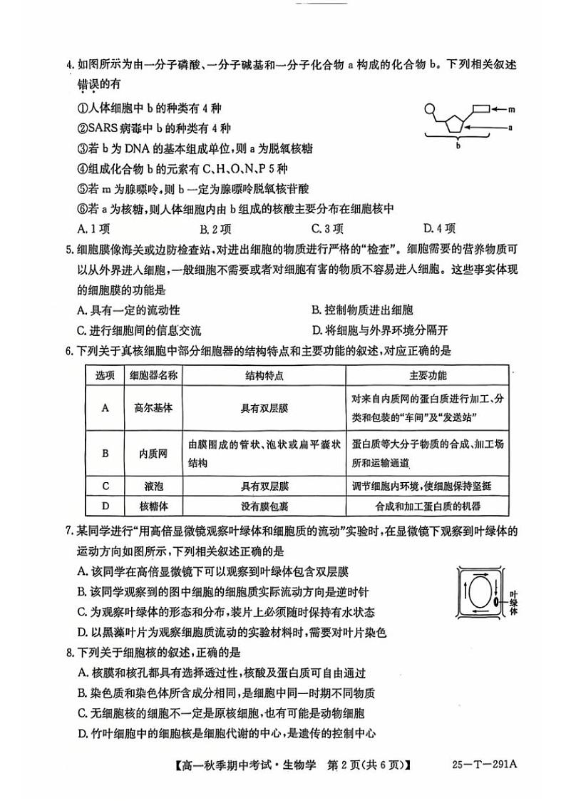 2024～2025学年云南省楚雄彝族自治州东兴中学高一(上)12月期中生物试卷(含答案)第2页