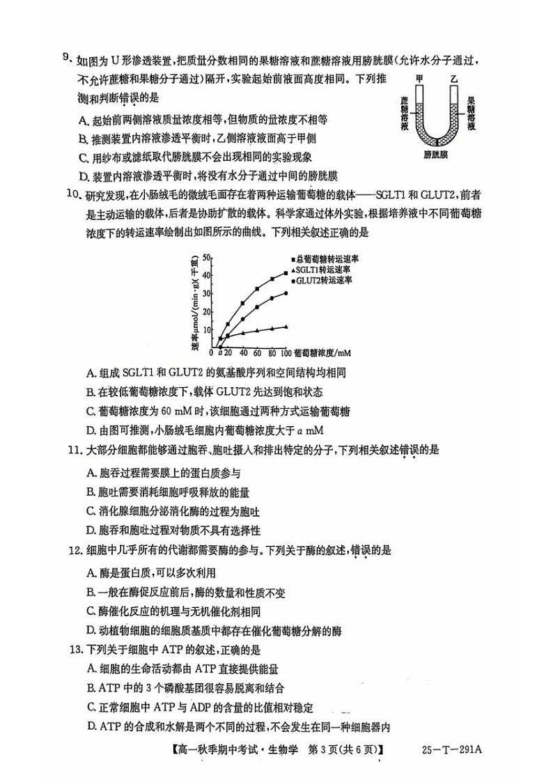 2024～2025学年云南省楚雄彝族自治州东兴中学高一(上)12月期中生物试卷(含答案)第3页