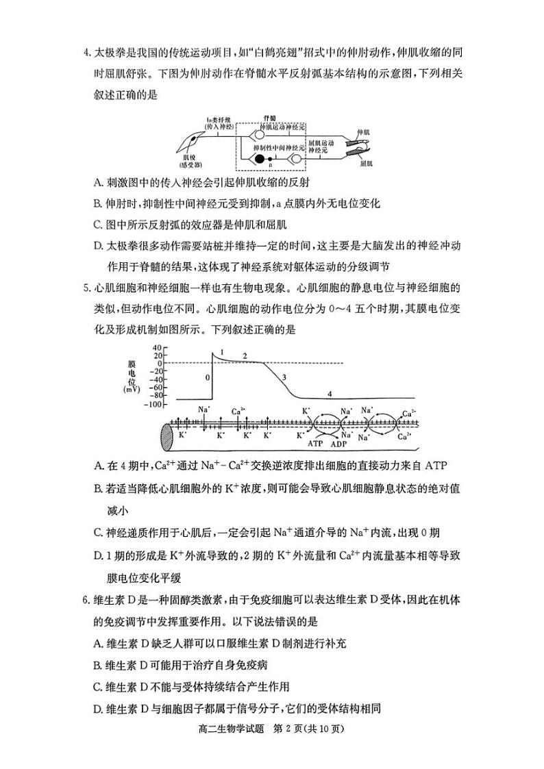 2024～2025学年湖南省名校高二(上)12月检测生物试卷(版含答案)第2页