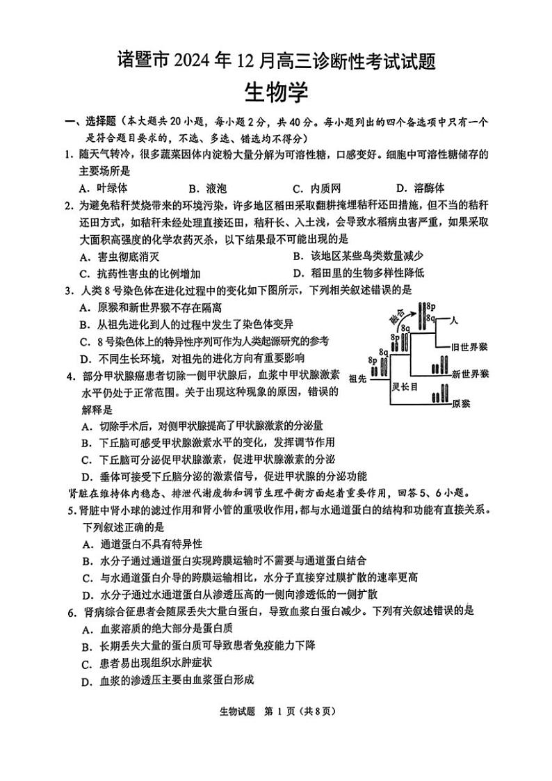 2025届浙江省绍兴市诸暨市高三(上)12月诊断性考试(一模)生物试卷(含答案)第1页