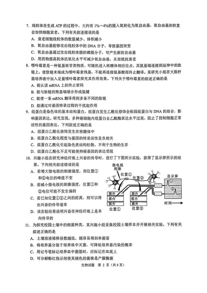 2025届浙江省绍兴市诸暨市高三(上)12月诊断性考试(一模)生物试卷(含答案)第2页