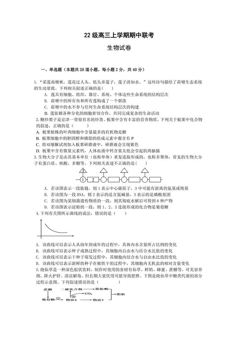 2024～2025学年四川省眉山市仁寿县高三(上)期中校际联考生物试卷(含答案)第1页