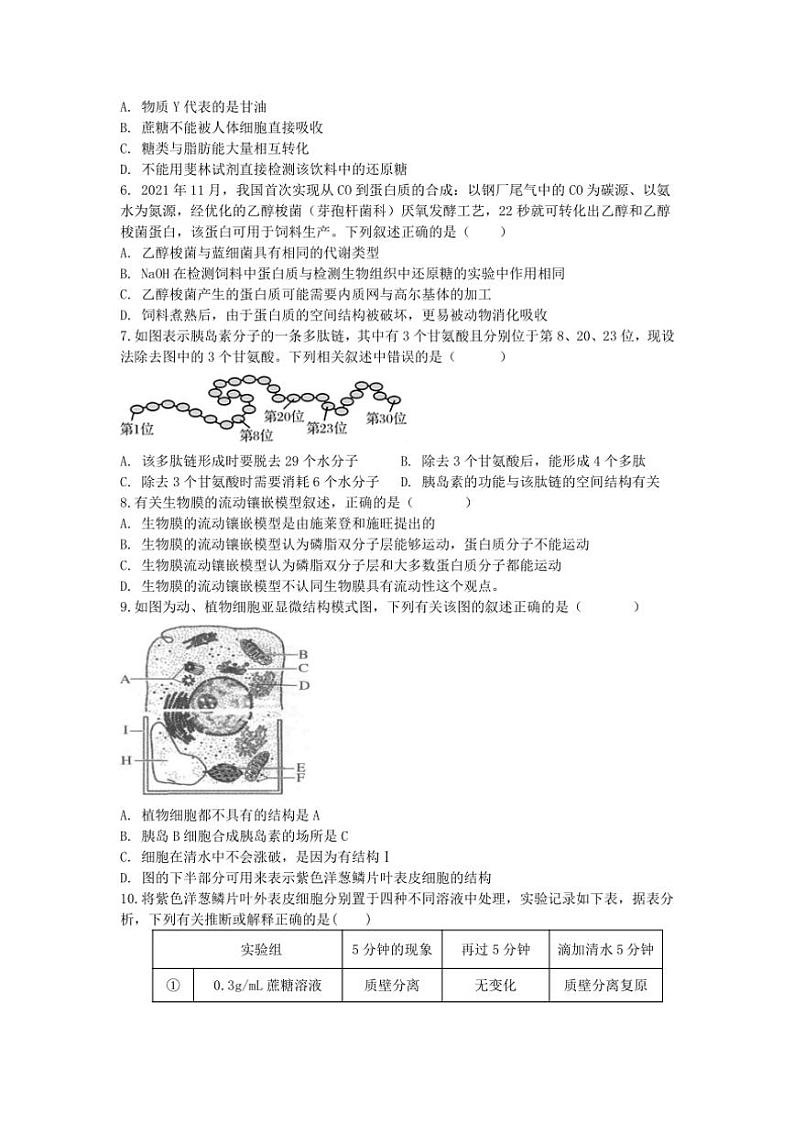 2024～2025学年四川省眉山市仁寿县高三(上)期中校际联考生物试卷(含答案)第2页