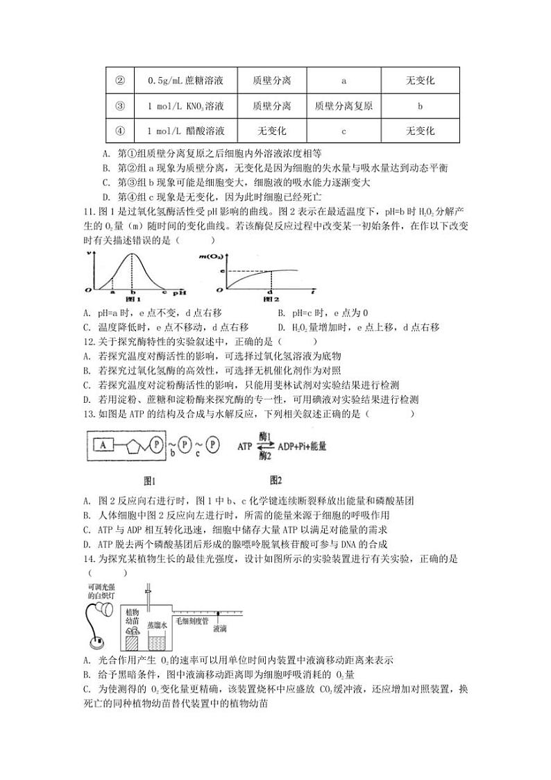 2024～2025学年四川省眉山市仁寿县高三(上)期中校际联考生物试卷(含答案)第3页