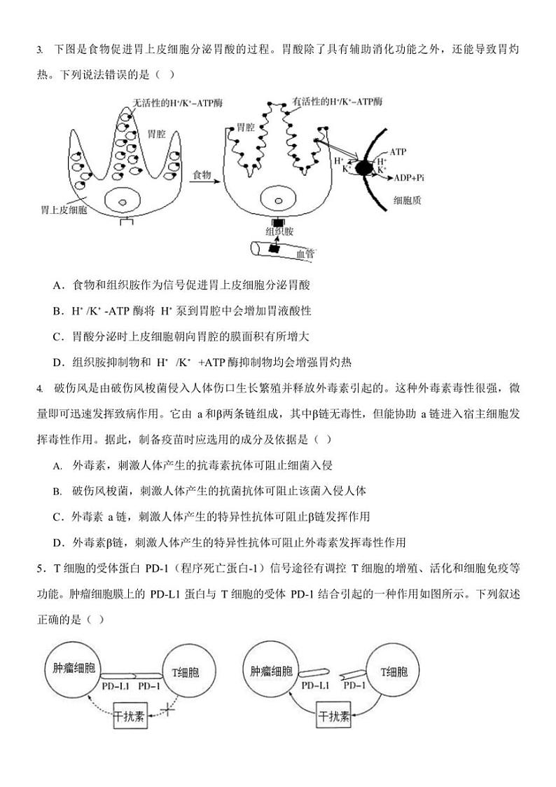 2024～2025学年内蒙古赤峰二中高二(上)第二次月考生物试卷(含答案)第2页