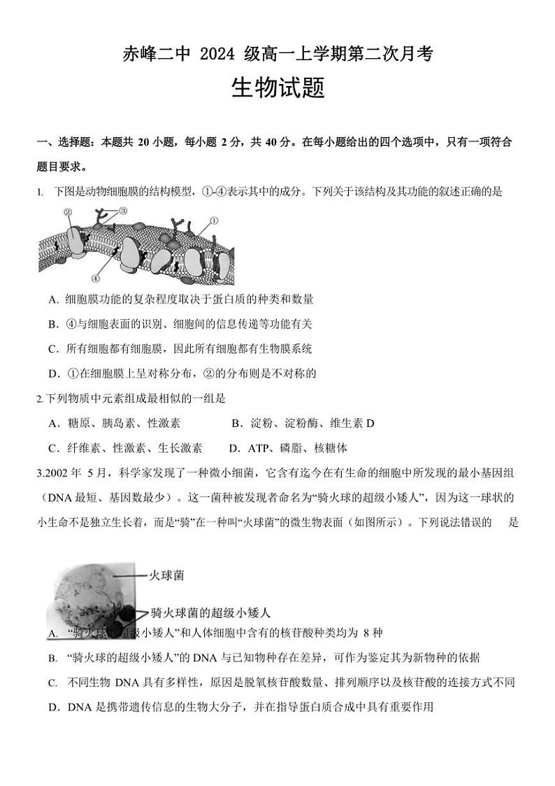 2024～2025学年内蒙古赤峰二中高一(上)第二次月考生物试卷(含答案)第1页
