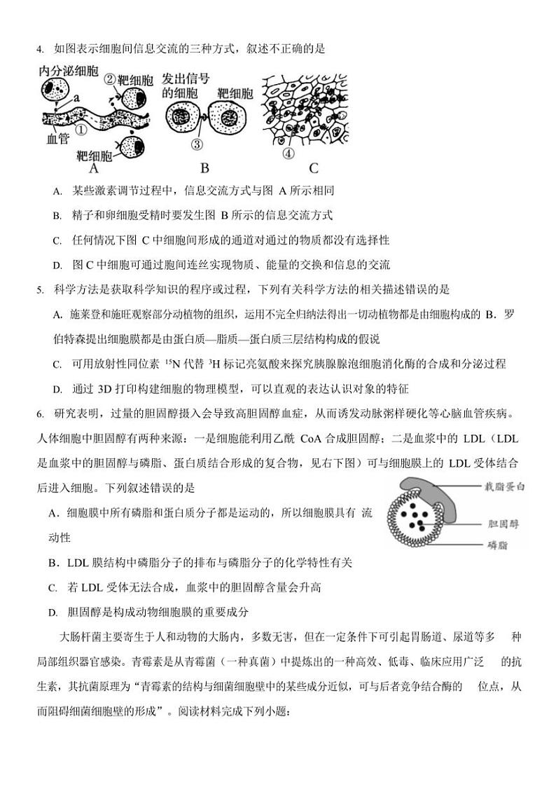 2024～2025学年内蒙古赤峰二中高一(上)第二次月考生物试卷(含答案)第2页