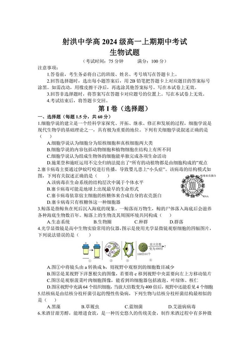 2024～2025学年四川省遂宁市射洪中学校高一(上)12月期中生物试卷(含答案)第1页